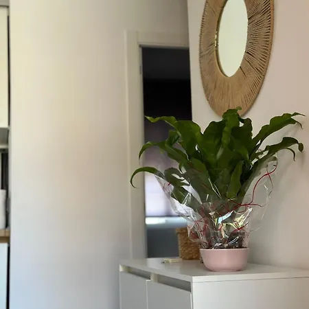 Apartment Avenida Duque Abrantes *